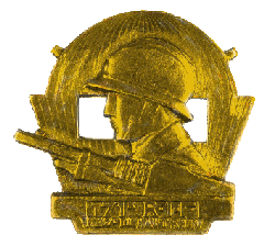 Insigne du 171e RIF